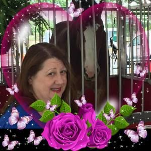 Meet your Posher, Joyce